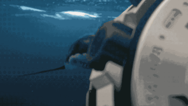 微信图片_20200501142451.gif
